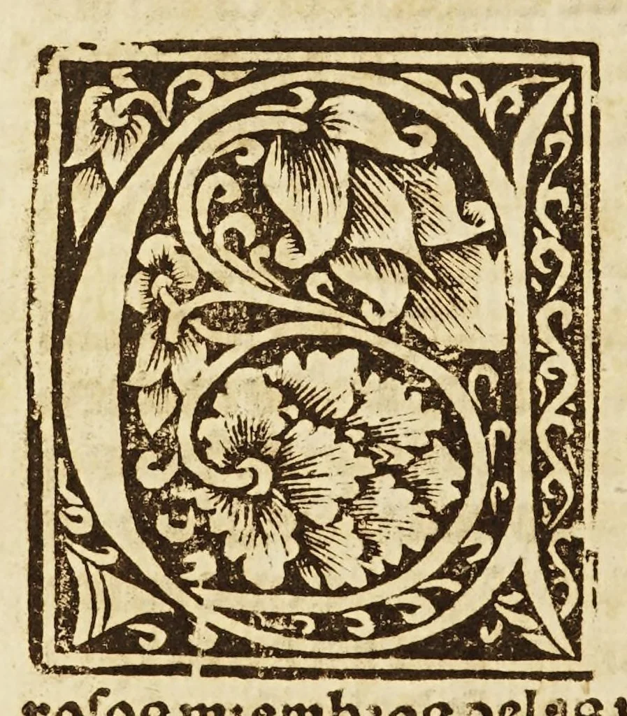 An illustration from Breuissima relacion de la destruycion de las Indias:, 1552, leaf 10