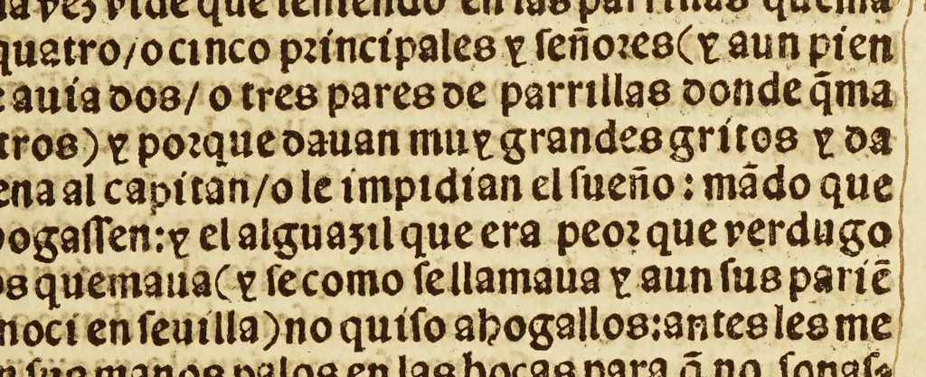 An illustration from Breuissima relacion de la destruycion de las Indias:, 1552, leaf 19