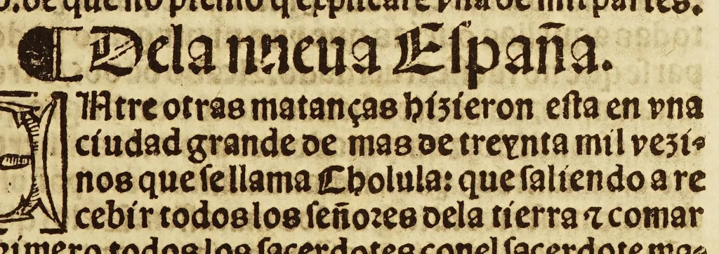 An illustration from Breuissima relacion de la destruycion de las Indias:, 1552, leaf 39