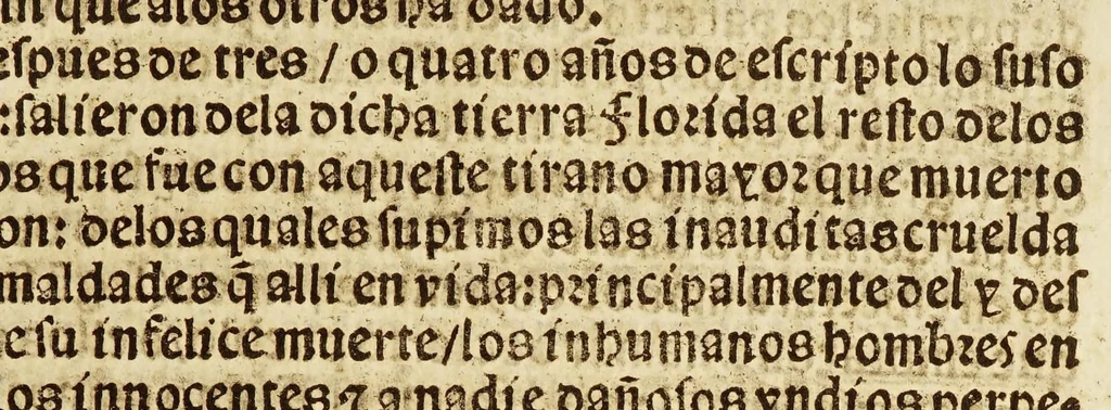 An illustration from Breuissima relacion de la destruycion de las Indias:, 1552, leaf 83