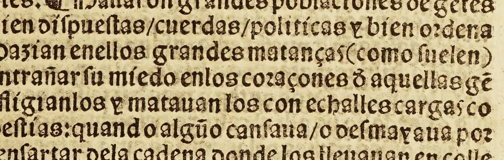 An illustration from Breuissima relacion de la destruycion de las Indias:, 1552, leaf 83