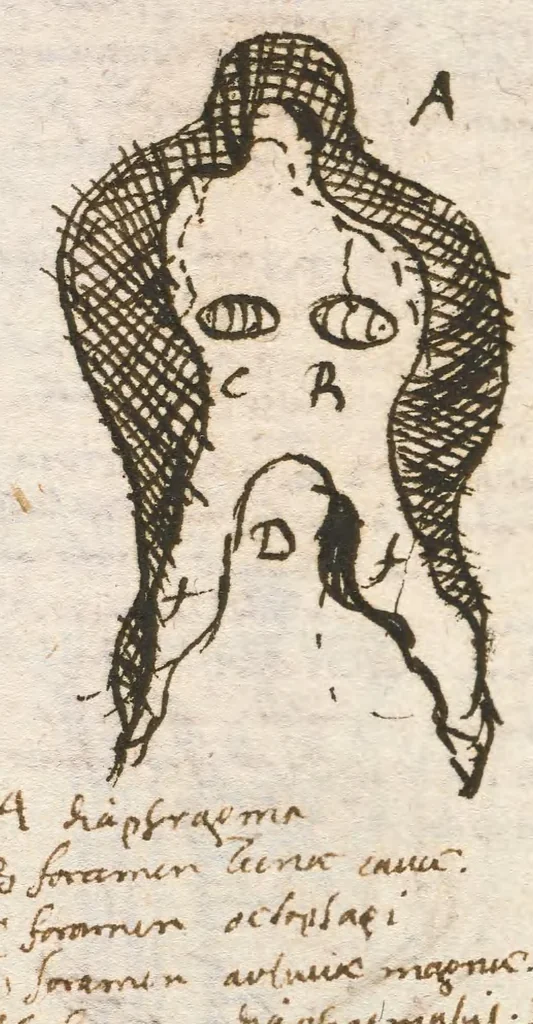 An illustration from Breve compendium philosophiae [manuscript], 1652, leaf 273