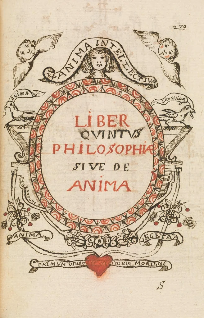 An illustration from Breve compendium philosophiae [manuscript], 1652, leaf 295