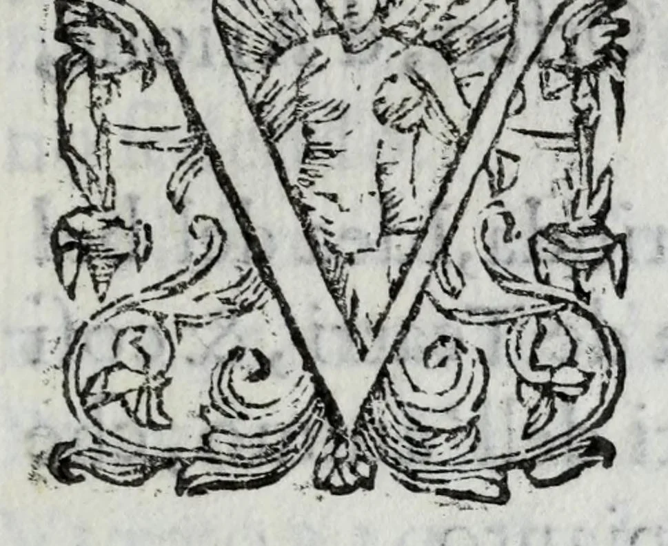 An illustration from Breve descrittione delle feste fatte dal serenissimo sig. prencipe di Mantoua : nel giorno natale della serenissima infanta Margherita : et nella venuta delli serenissimi prencipi di Savoia nella città di Casale, per veder detta signora & il sig. prencipe prima della lor partita per Mantoua, 1611, leaf 5