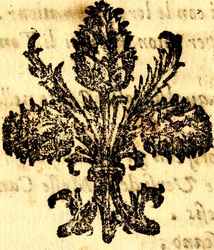 An illustration from Breve instrvttione alli giovani per imparare con ogni facilità il canto fermo, divisa in dve parti. Nella prima s'assegano le regole svccinte d'esso canto, col vero modo di pratticarle. Il canto francescano, con vna regola al chorista per ben regger' il choro, ed vn' altra all' organista per lasciar in tono con l'organo i canti, ch' occorrono in tutto l'anno. Nella seconda si pone tvtt'il canto della Settimana santa con quello per la processione della purificatione della B.V. e quattro credi nel fine, 1665, leaf 155