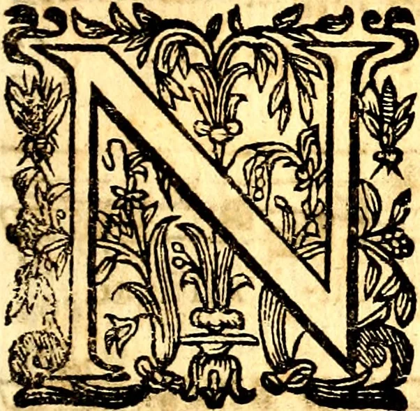 An illustration from Breve instrvttione alli giovani per imparare con ogni facilità il canto fermo, divisa in dve parti. Nella prima s'assegano le regole svccinte d'esso canto, col vero modo di pratticarle. Il canto francescano, con vna regola al chorista per ben regger' il choro, ed vn' altra all' organista per lasciar in tono con l'organo i canti, ch' occorrono in tutto l'anno. Nella seconda si pone tvtt'il canto della Settimana santa con quello per la processione della purificatione della B.V. e quattro credi nel fine, 1665, leaf 164