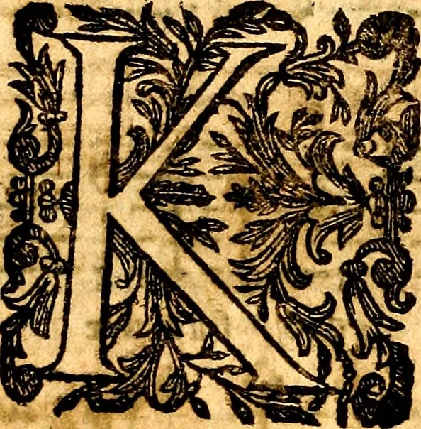 An illustration from Breve instrvttione alli giovani per imparare con ogni facilità il canto fermo, divisa in dve parti. Nella prima s'assegano le regole svccinte d'esso canto, col vero modo di pratticarle. Il canto francescano, con vna regola al chorista per ben regger' il choro, ed vn' altra all' organista per lasciar in tono con l'organo i canti, ch' occorrono in tutto l'anno. Nella seconda si pone tvtt'il canto della Settimana santa con quello per la processione della purificatione della B.V. e quattro credi nel fine, 1665, leaf 243