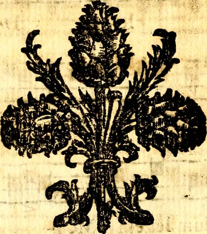 An illustration from Breve instrvttione alli giovani per imparare con ogni facilità il canto fermo, divisa in dve parti. Nella prima s'assegano le regole svccinte d'esso canto, col vero modo di pratticarle. Il canto francescano, con vna regola al chorista per ben regger' il choro, ed vn' altra all' organista per lasciar in tono con l'organo i canti, ch' occorrono in tutto l'anno. Nella seconda si pone tvtt'il canto della Settimana santa con quello per la processione della purificatione della B.V. e quattro credi nel fine, 1665, leaf 259