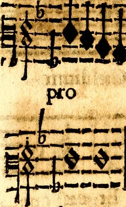 An illustration from Breve instrvttione alli giovani per imparare con ogni facilità il canto fermo, divisa in dve parti. Nella prima s'assegano le regole svccinte d'esso canto, col vero modo di pratticarle. Il canto francescano, con vna regola al chorista per ben regger' il choro, ed vn' altra all' organista per lasciar in tono con l'organo i canti, ch' occorrono in tutto l'anno. Nella seconda si pone tvtt'il canto della Settimana santa con quello per la processione della purificatione della B.V. e quattro credi nel fine, 1665, leaf 265