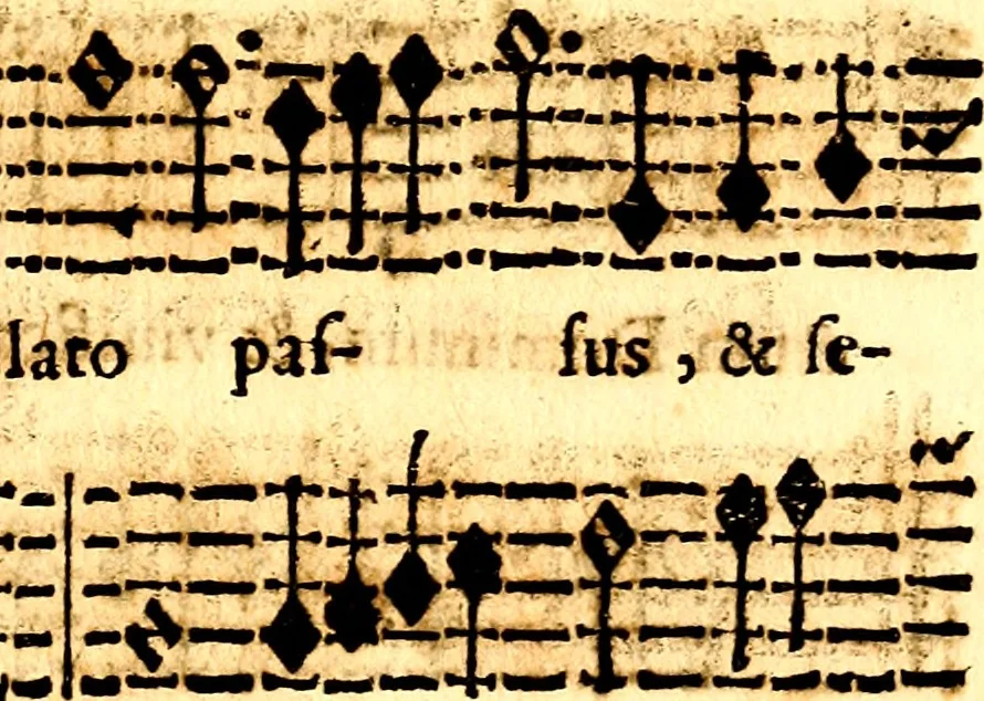 An illustration from Breve instrvttione alli giovani per imparare con ogni facilità il canto fermo, divisa in dve parti. Nella prima s'assegano le regole svccinte d'esso canto, col vero modo di pratticarle. Il canto francescano, con vna regola al chorista per ben regger' il choro, ed vn' altra all' organista per lasciar in tono con l'organo i canti, ch' occorrono in tutto l'anno. Nella seconda si pone tvtt'il canto della Settimana santa con quello per la processione della purificatione della B.V. e quattro credi nel fine, 1665, leaf 270