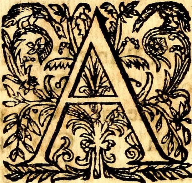 An illustration from Breve instrvttione alli giovani per imparare con ogni facilità il canto fermo, divisa in dve parti. Nella prima s'assegano le regole svccinte d'esso canto, col vero modo di pratticarle. Il canto francescano, con vna regola al chorista per ben regger' il choro, ed vn' altra all' organista per lasciar in tono con l'organo i canti, ch' occorrono in tutto l'anno. Nella seconda si pone tvtt'il canto della Settimana santa con quello per la processione della purificatione della B.V. e quattro credi nel fine, 1665, leaf 281