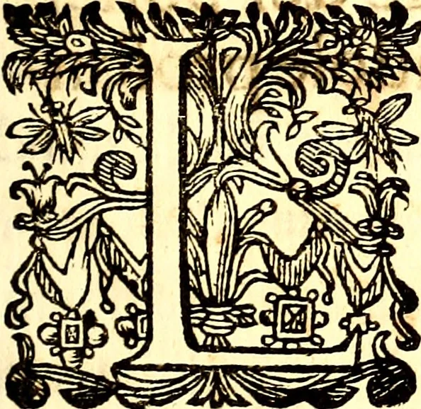 An illustration from Breve instrvttione alli giovani per imparare con ogni facilità il canto fermo, divisa in dve parti. Nella prima s'assegano le regole svccinte d'esso canto, col vero modo di pratticarle. Il canto francescano, con vna regola al chorista per ben regger' il choro, ed vn' altra all' organista per lasciar in tono con l'organo i canti, ch' occorrono in tutto l'anno. Nella seconda si pone tvtt'il canto della Settimana santa con quello per la processione della purificatione della B.V. e quattro credi nel fine, 1665, leaf 6