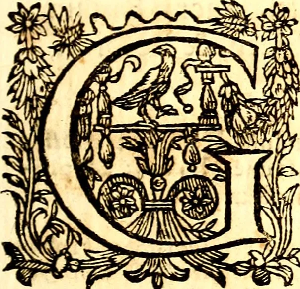 An illustration from Breve instrvttione alli giovani per imparare con ogni facilità il canto fermo, divisa in dve parti. Nella prima s'assegano le regole svccinte d'esso canto, col vero modo di pratticarle. Il canto francescano, con vna regola al chorista per ben regger' il choro, ed vn' altra all' organista per lasciar in tono con l'organo i canti, ch' occorrono in tutto l'anno. Nella seconda si pone tvtt'il canto della Settimana santa con quello per la processione della purificatione della B.V. e quattro credi nel fine, 1665, leaf 8