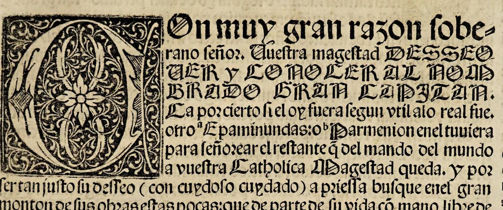 An illustration from Breve parte de las hazanas del excelente no[m]brado gran capita[n] : con privilegio de sus magestades, 1527, leaf 7