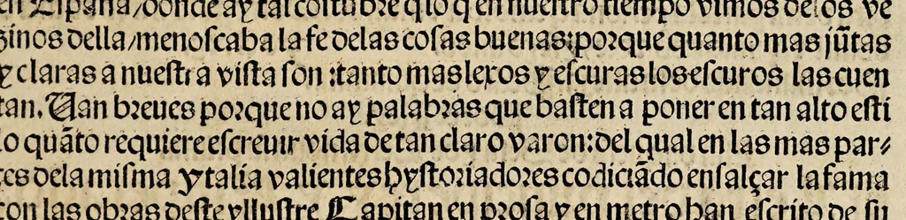 An illustration from Breve parte de las hazanas del excelente no[m]brado gran capita[n] : con privilegio de sus magestades, 1527, leaf 7
