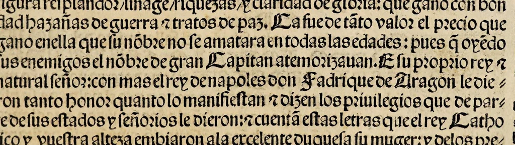 An illustration from Breve parte de las hazanas del excelente no[m]brado gran capita[n] : con privilegio de sus magestades, 1527, leaf 7