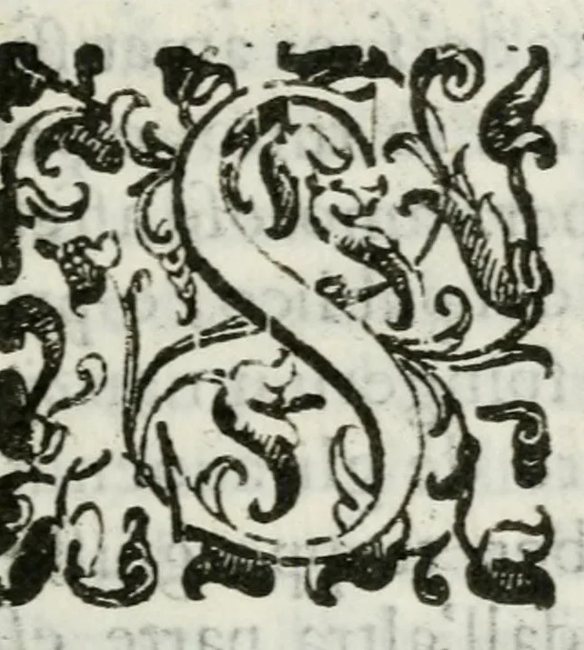 An illustration from Breve raguaglio del funerale fatto al sereniss. Vincenzo, che fù duca di Mantoua e di Monferrato, dal sereniss. signor duca Carlo I. suo zio e successore : nella ducal chiesa di Santa Barbara di Mantoua, il dì 18. di febraro 1628, 1628, leaf 9