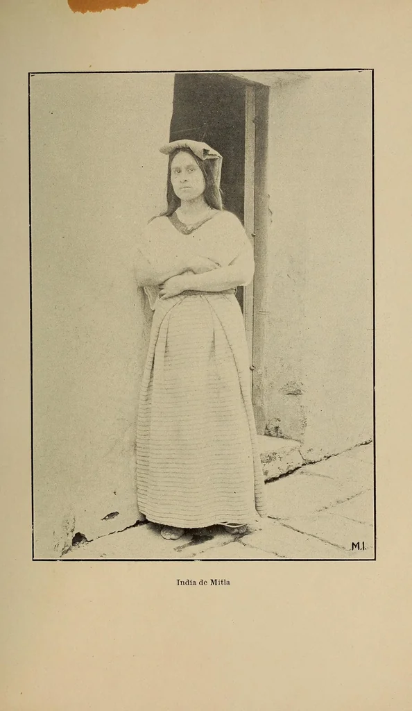 An illustration from Breve reseña histórica y geográfica del estado de Oaxaca, 1901, leaf 187
