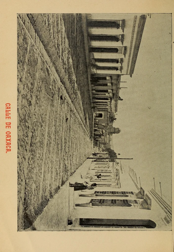 An illustration from Breve reseña histórica y geográfica del estado de Oaxaca, 1901, leaf 42