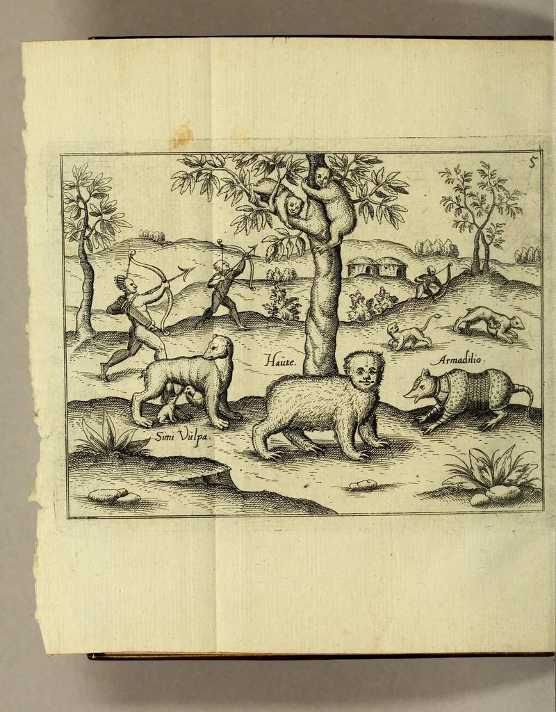 An illustration from Brevis & admiranda descriptio regni Guianae, avri abundantissimi, in America, seu novo orbe, sub linea aequinoctilia siti: quod nuper admodum, annis nimirum 1564 [sic]. 1595 & 1596. Per generosium dominum Dn. Gualtherum Raleghe quitem Anglum detectum est: : paulò post jussu ejus duobus libellis comprehensa: ex quibus Iodocus Hondius tabulam geographicam adornavit, addita explicatione Belgico sermone scripta: nunc verò in Latinum sermonem translata, & ex variis authoribus hinc inde declarata, 1599, leaf 18