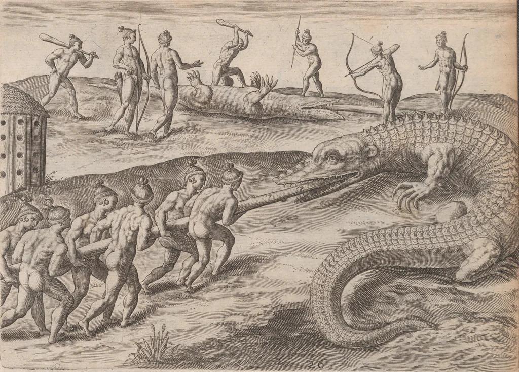 An illustration from Brevis narratio eorum quae in Florida Americae provincia Gallis acciderunt ... : quae est secunda pars Americae. Additae figurae et incolarum eicones ibidem ad vivum expressae, brevis item declaratio religionis, rituum, vivendique ratione ipsorum ..., 1591, leaf 100