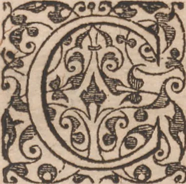 An illustration from Brevis narratio eorum quae in Florida Americae provincia Gallis acciderunt ... : quae est secunda pars Americae. Additae figurae et incolarum eicones ibidem ad vivum expressae, brevis item declaratio religionis, rituum, vivendique ratione ipsorum ..., 1591, leaf 100
