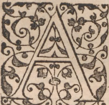 An illustration from Brevis narratio eorum quae in Florida Americae provincia Gallis acciderunt ... : quae est secunda pars Americae. Additae figurae et incolarum eicones ibidem ad vivum expressae, brevis item declaratio religionis, rituum, vivendique ratione ipsorum ..., 1591, leaf 102