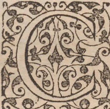 An illustration from Brevis narratio eorum quae in Florida Americae provincia Gallis acciderunt ... : quae est secunda pars Americae. Additae figurae et incolarum eicones ibidem ad vivum expressae, brevis item declaratio religionis, rituum, vivendique ratione ipsorum ..., 1591, leaf 104