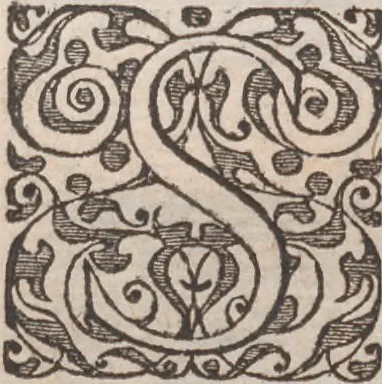 An illustration from Brevis narratio eorum quae in Florida Americae provincia Gallis acciderunt ... : quae est secunda pars Americae. Additae figurae et incolarum eicones ibidem ad vivum expressae, brevis item declaratio religionis, rituum, vivendique ratione ipsorum ..., 1591, leaf 108