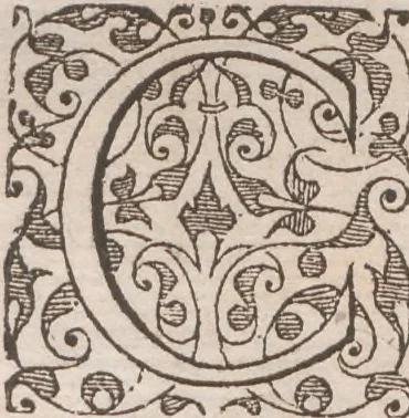 An illustration from Brevis narratio eorum quae in Florida Americae provincia Gallis acciderunt ... : quae est secunda pars Americae. Additae figurae et incolarum eicones ibidem ad vivum expressae, brevis item declaratio religionis, rituum, vivendique ratione ipsorum ..., 1591, leaf 112