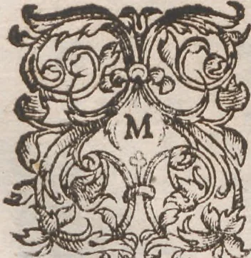 An illustration from Brevis narratio eorum quae in Florida Americae provincia Gallis acciderunt ... : quae est secunda pars Americae. Additae figurae et incolarum eicones ibidem ad vivum expressae, brevis item declaratio religionis, rituum, vivendique ratione ipsorum ..., 1591, leaf 116