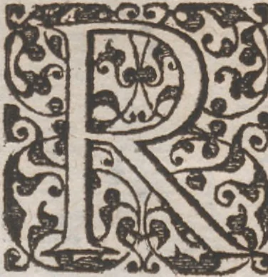 An illustration from Brevis narratio eorum quae in Florida Americae provincia Gallis acciderunt ... : quae est secunda pars Americae. Additae figurae et incolarum eicones ibidem ad vivum expressae, brevis item declaratio religionis, rituum, vivendique ratione ipsorum ..., 1591, leaf 118