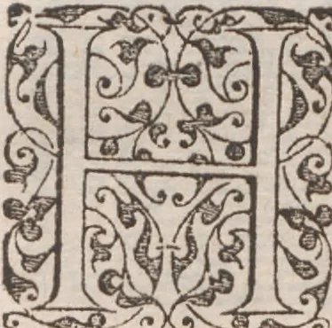 An illustration from Brevis narratio eorum quae in Florida Americae provincia Gallis acciderunt ... : quae est secunda pars Americae. Additae figurae et incolarum eicones ibidem ad vivum expressae, brevis item declaratio religionis, rituum, vivendique ratione ipsorum ..., 1591, leaf 124
