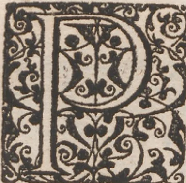 An illustration from Brevis narratio eorum quae in Florida Americae provincia Gallis acciderunt ... : quae est secunda pars Americae. Additae figurae et incolarum eicones ibidem ad vivum expressae, brevis item declaratio religionis, rituum, vivendique ratione ipsorum ..., 1591, leaf 126