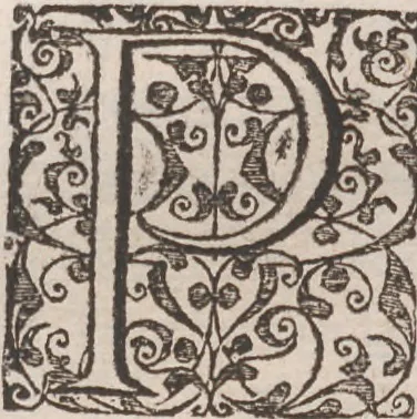 An illustration from Brevis narratio eorum quae in Florida Americae provincia Gallis acciderunt ... : quae est secunda pars Americae. Additae figurae et incolarum eicones ibidem ad vivum expressae, brevis item declaratio religionis, rituum, vivendique ratione ipsorum ..., 1591, leaf 132