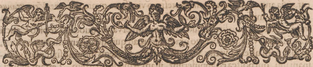 An illustration from Brevis narratio eorum quae in Florida Americae provincia Gallis acciderunt ... : quae est secunda pars Americae. Additae figurae et incolarum eicones ibidem ad vivum expressae, brevis item declaratio religionis, rituum, vivendique ratione ipsorum ..., 1591, leaf 16
