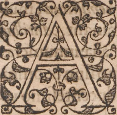 An illustration from Brevis narratio eorum quae in Florida Americae provincia Gallis acciderunt ... : quae est secunda pars Americae. Additae figurae et incolarum eicones ibidem ad vivum expressae, brevis item declaratio religionis, rituum, vivendique ratione ipsorum ..., 1591, leaf 16