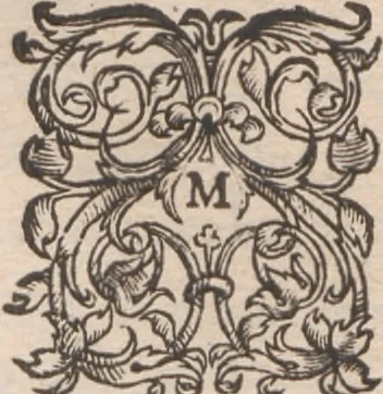 An illustration from Brevis narratio eorum quae in Florida Americae provincia Gallis acciderunt ... : quae est secunda pars Americae. Additae figurae et incolarum eicones ibidem ad vivum expressae, brevis item declaratio religionis, rituum, vivendique ratione ipsorum ..., 1591, leaf 2