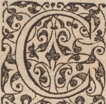 An illustration from Brevis narratio eorum quae in Florida Americae provincia Gallis acciderunt ... : quae est secunda pars Americae. Additae figurae et incolarum eicones ibidem ad vivum expressae, brevis item declaratio religionis, rituum, vivendique ratione ipsorum ..., 1591, leaf 52
