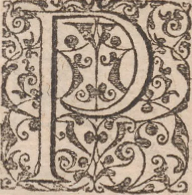 An illustration from Brevis narratio eorum quae in Florida Americae provincia Gallis acciderunt ... : quae est secunda pars Americae. Additae figurae et incolarum eicones ibidem ad vivum expressae, brevis item declaratio religionis, rituum, vivendique ratione ipsorum ..., 1591, leaf 54