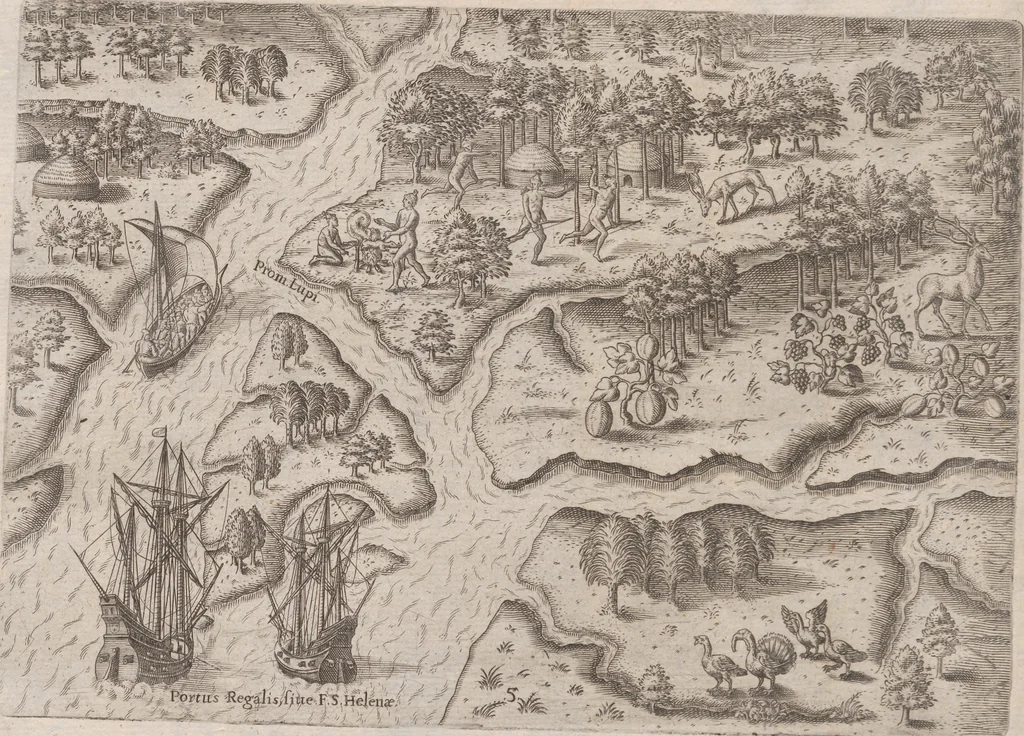 An illustration from Brevis narratio eorum quae in Florida Americae provincia Gallis acciderunt ... : quae est secunda pars Americae. Additae figurae et incolarum eicones ibidem ad vivum expressae, brevis item declaratio religionis, rituum, vivendique ratione ipsorum ..., 1591, leaf 58