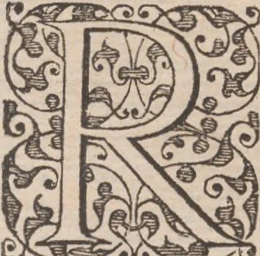 An illustration from Brevis narratio eorum quae in Florida Americae provincia Gallis acciderunt ... : quae est secunda pars Americae. Additae figurae et incolarum eicones ibidem ad vivum expressae, brevis item declaratio religionis, rituum, vivendique ratione ipsorum ..., 1591, leaf 6
