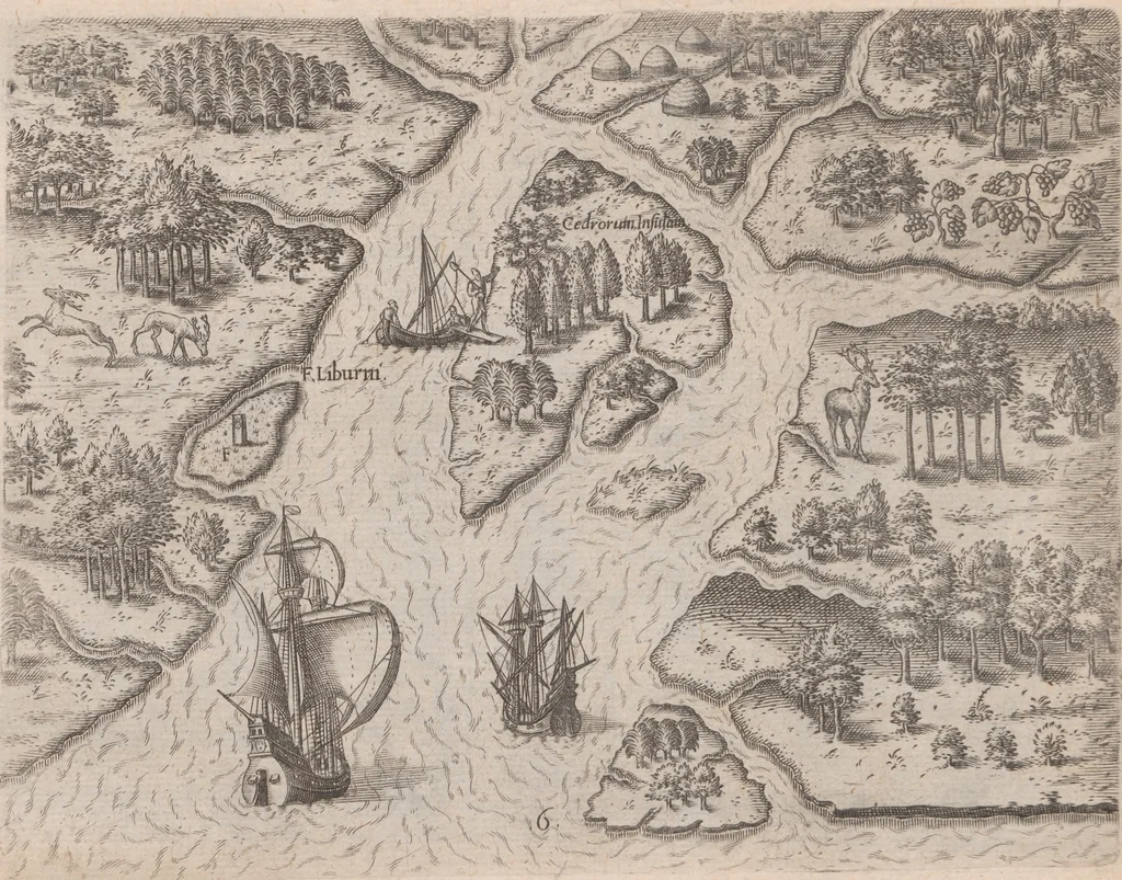 An illustration from Brevis narratio eorum quae in Florida Americae provincia Gallis acciderunt ... : quae est secunda pars Americae. Additae figurae et incolarum eicones ibidem ad vivum expressae, brevis item declaratio religionis, rituum, vivendique ratione ipsorum ..., 1591, leaf 60