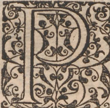 An illustration from Brevis narratio eorum quae in Florida Americae provincia Gallis acciderunt ... : quae est secunda pars Americae. Additae figurae et incolarum eicones ibidem ad vivum expressae, brevis item declaratio religionis, rituum, vivendique ratione ipsorum ..., 1591, leaf 62