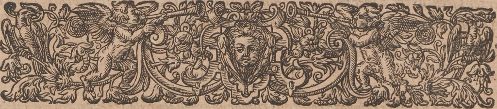 An illustration from Brevis narratio eorum quae in Florida Americae provincia Gallis acciderunt ... : quae est secunda pars Americae. Additae figurae et incolarum eicones ibidem ad vivum expressae, brevis item declaratio religionis, rituum, vivendique ratione ipsorum ..., 1591, leaf 8