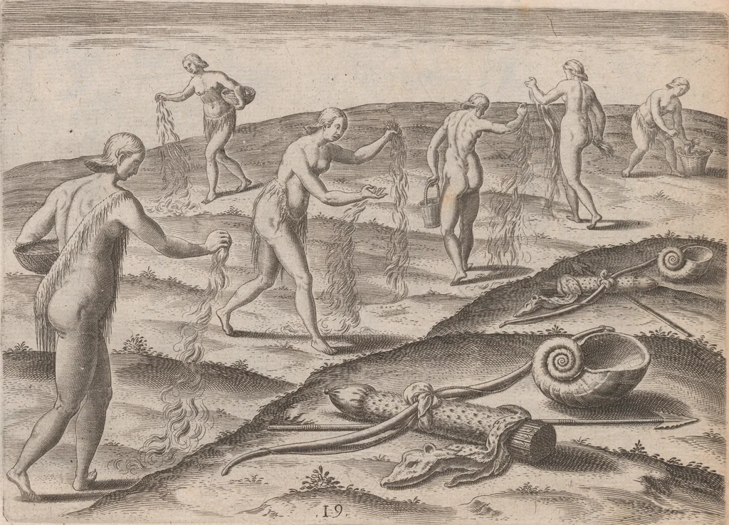 An illustration from Brevis narratio eorum quae in Florida Americae provincia Gallis acciderunt ... : quae est secunda pars Americae. Additae figurae et incolarum eicones ibidem ad vivum expressae, brevis item declaratio religionis, rituum, vivendique ratione ipsorum ..., 1591, leaf 86