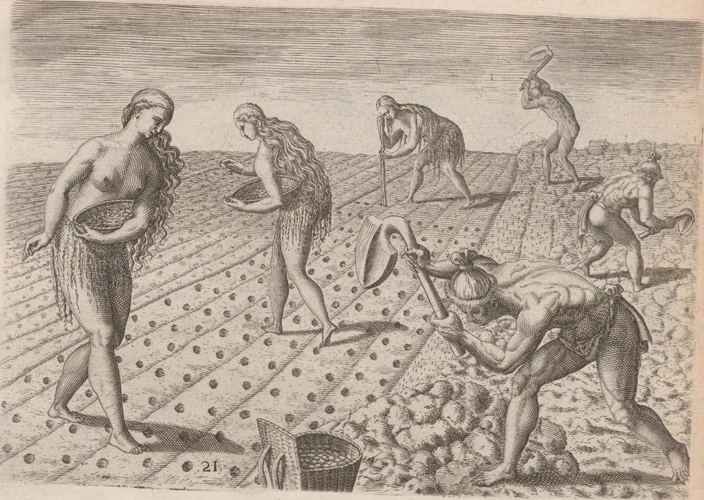 An illustration from Brevis narratio eorum quae in Florida Americae provincia Gallis acciderunt ... : quae est secunda pars Americae. Additae figurae et incolarum eicones ibidem ad vivum expressae, brevis item declaratio religionis, rituum, vivendique ratione ipsorum ..., 1591, leaf 90