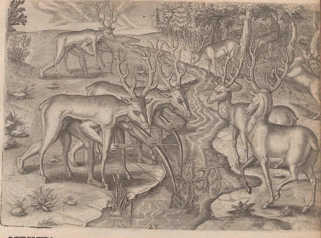 An illustration from Brevis narratio eorum quae in Florida Americae provincia Gallis acciderunt ... : quae est secunda pars Americae. Additae figurae et incolarum eicones ibidem ad vivum expressae, brevis item declaratio religionis, rituum, vivendique ratione ipsorum ..., 1591, leaf 98