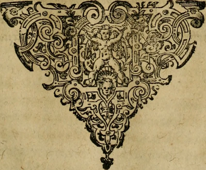 An illustration from Brevis narratio eorvm qvae in Florida Americæ provicia Gallis acciderunt : secunda in illam nauigatione, duce Renato de Laudõniere classis præfecto, anno MDLXIIII, qvae est secvnda pars Americæ : additæ figuræ & incolarum eicones ibidem ad vivu expressæ, brevis item declaratio religionis, rituum, vivendique ratione ipsorum, 1591, leaf 102