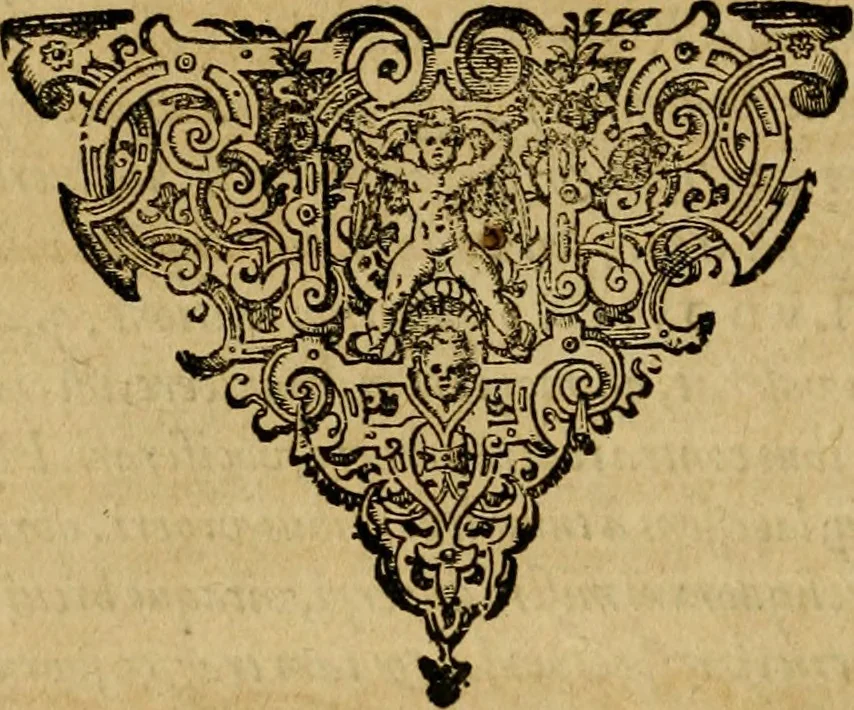 An illustration from Brevis narratio eorvm qvae in Florida Americæ provicia Gallis acciderunt : secunda in illam nauigatione, duce Renato de Laudõniere classis præfecto, anno MDLXIIII, qvae est secvnda pars Americæ : additæ figuræ & incolarum eicones ibidem ad vivu expressæ, brevis item declaratio religionis, rituum, vivendique ratione ipsorum, 1591, leaf 111